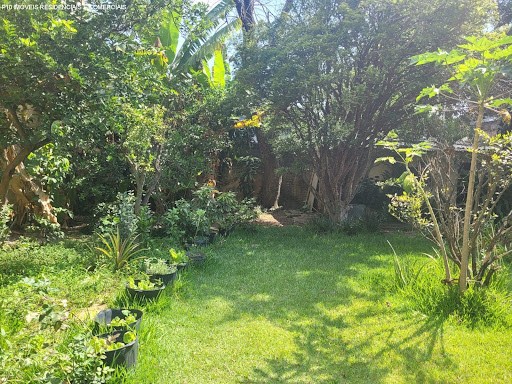 Casa, 4 quartos, 980 m² - Foto 8