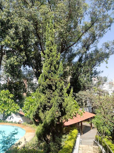 Apartamento, 3 quartos, 133 m² - Foto 60