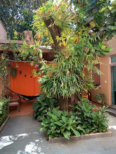 Casa, 3 quartos, 346 m² - Foto 7