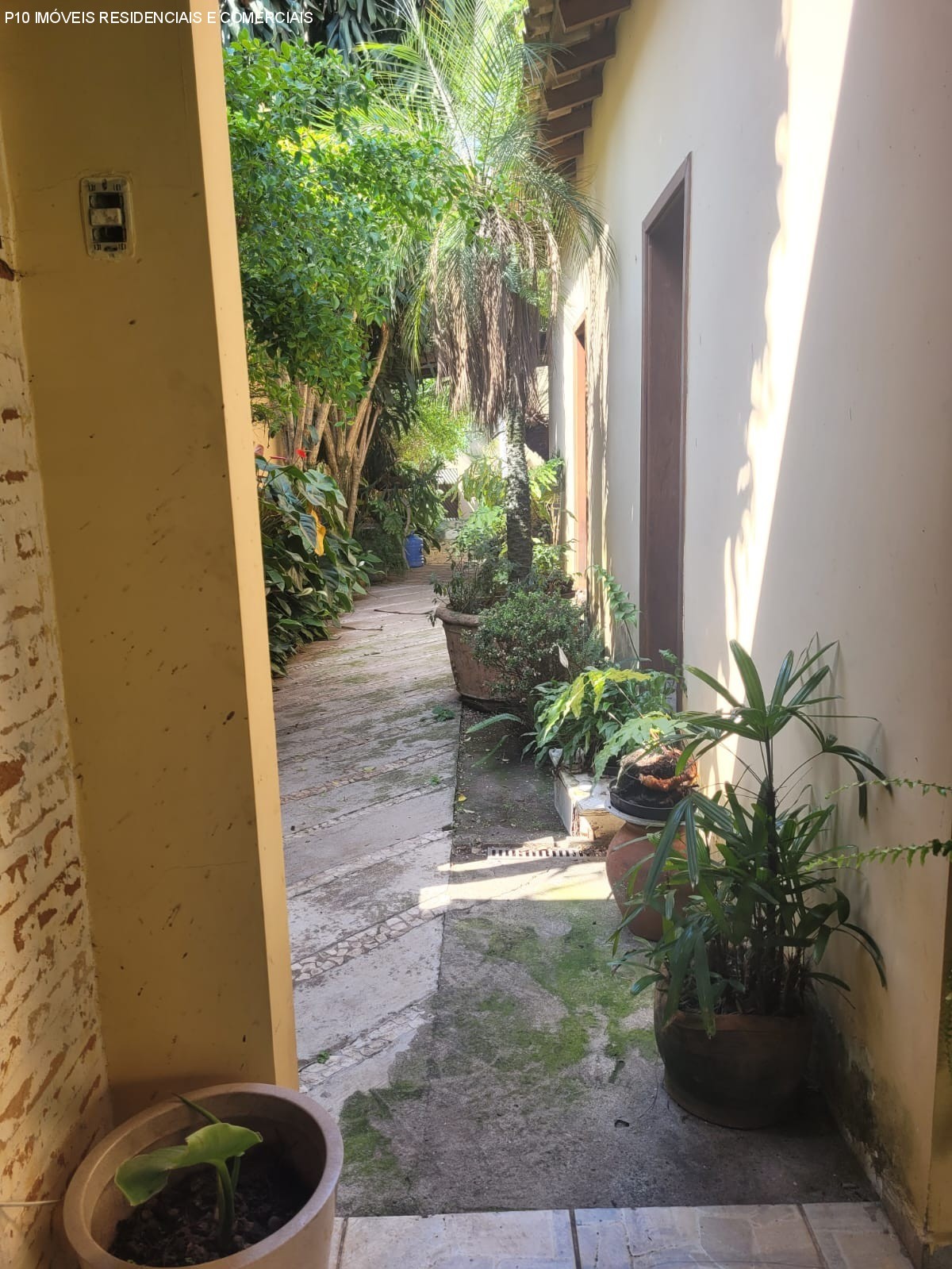 Casa, 4 quartos, 980 m² - Foto 20