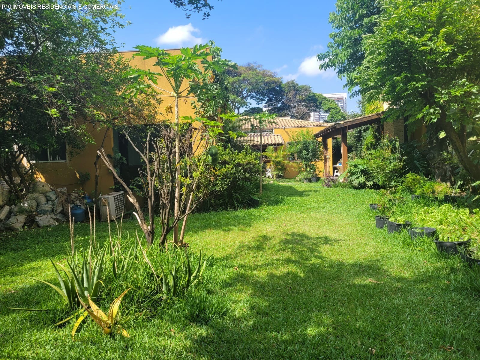 Casa, 4 quartos, 980 m² - Foto 46