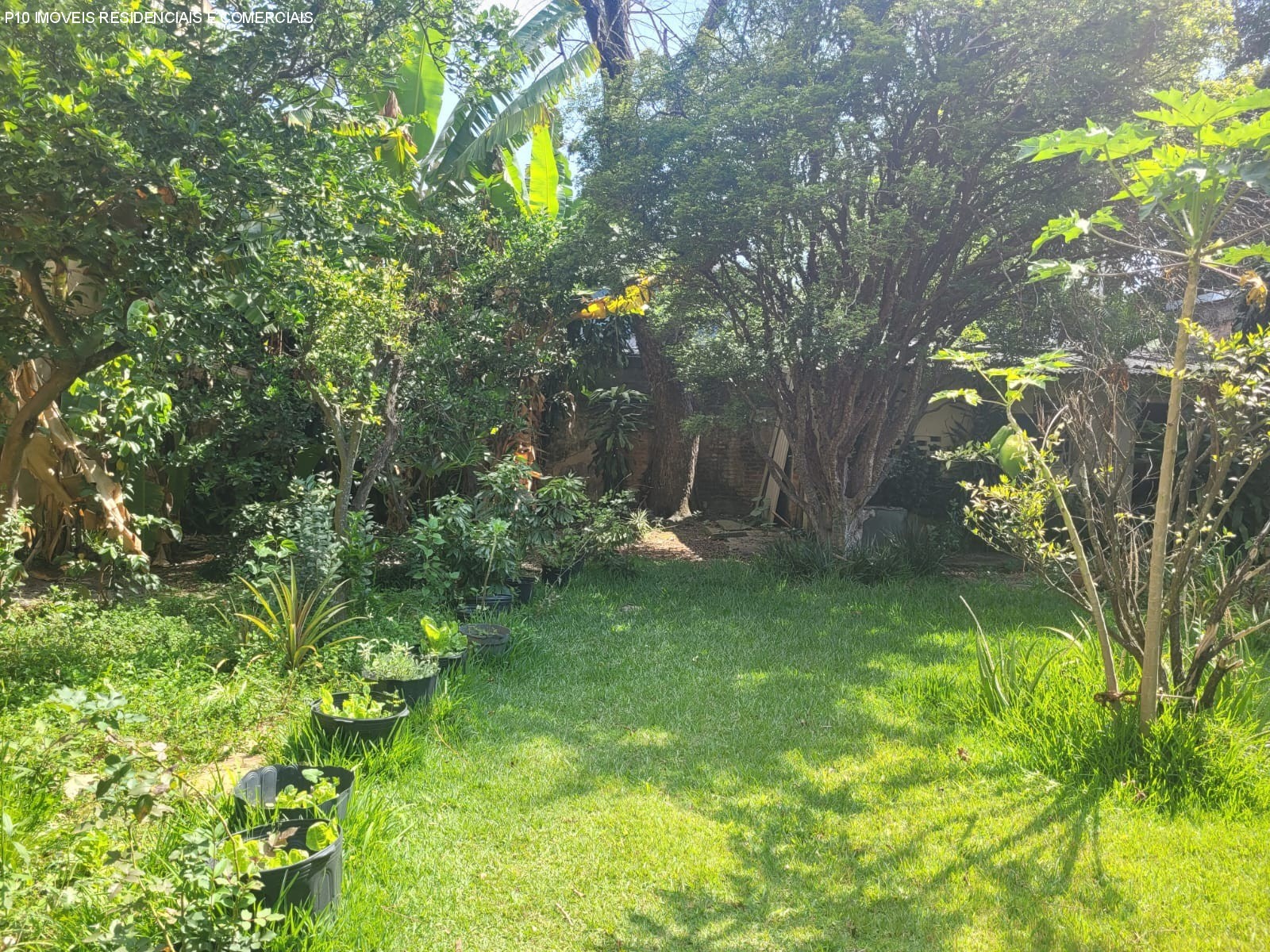 Casa, 4 quartos, 980 m² - Foto 41