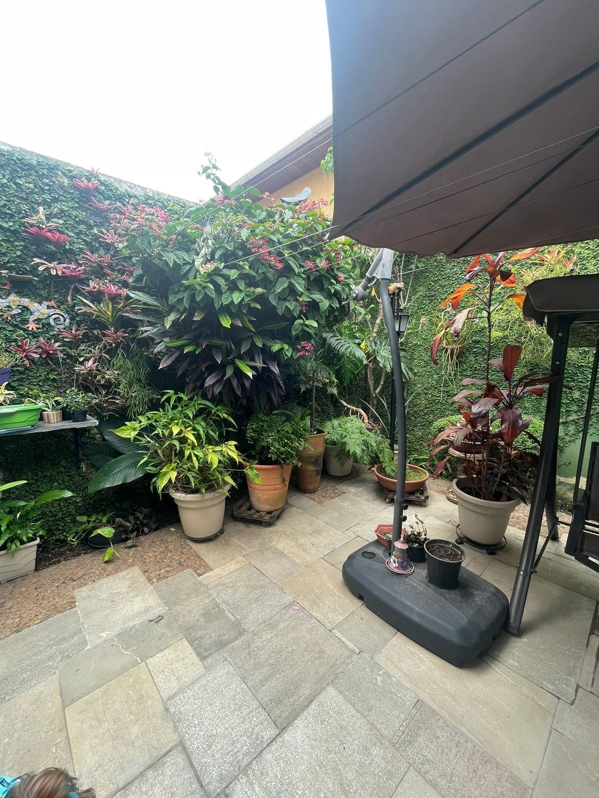 Casa, 3 quartos - Foto 33