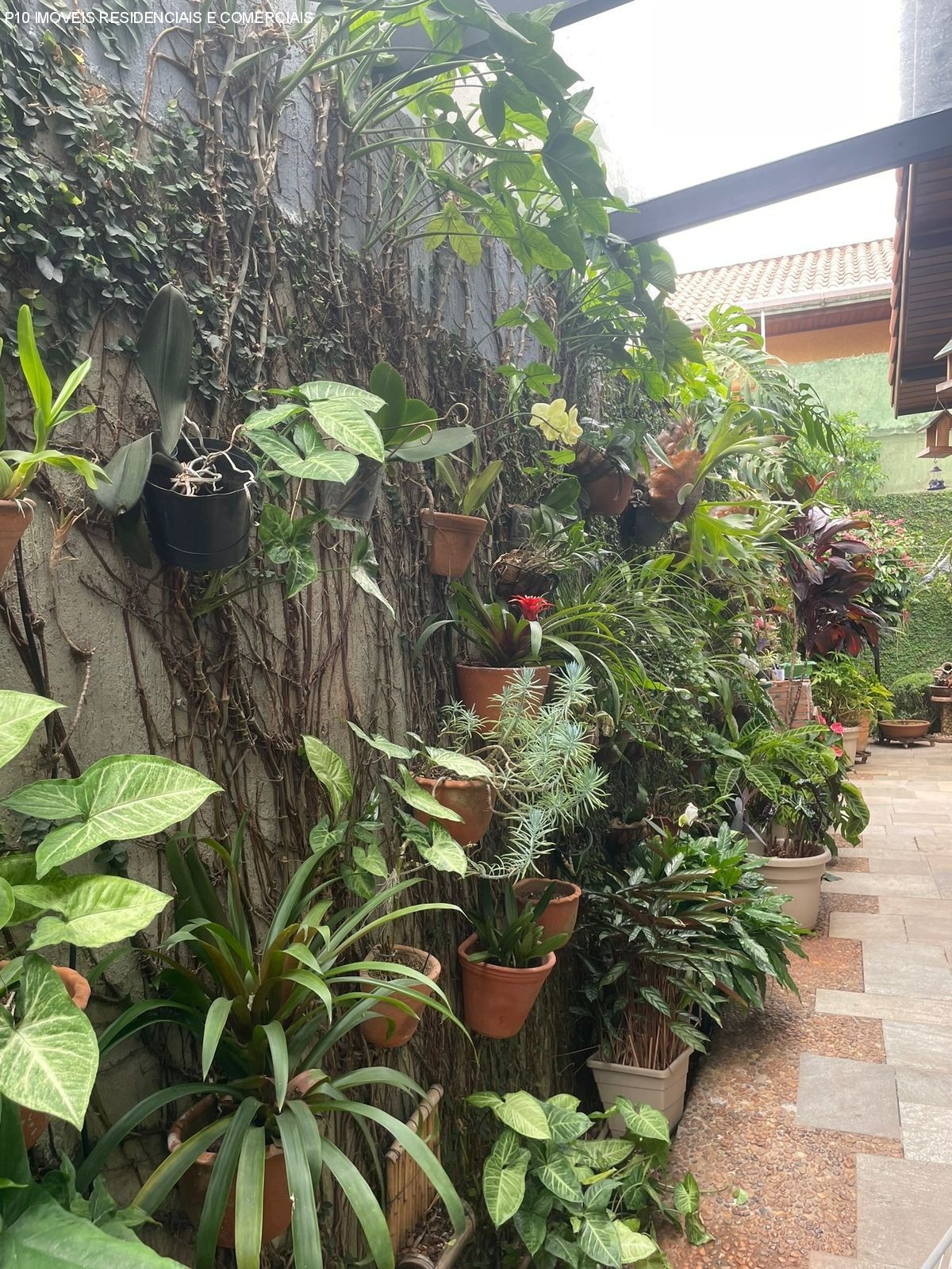 Casa, 3 quartos - Foto 52