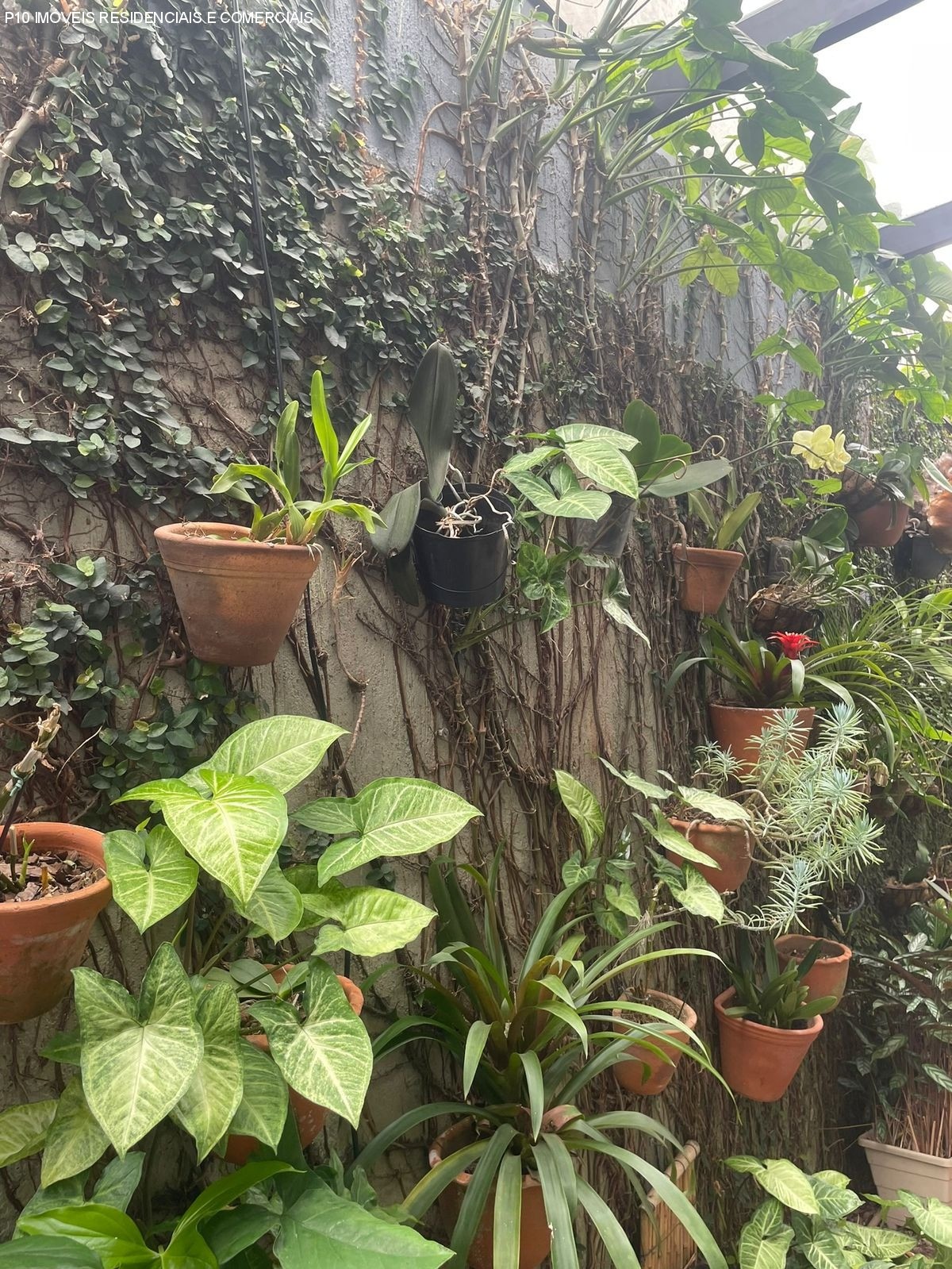 Casa, 3 quartos - Foto 50