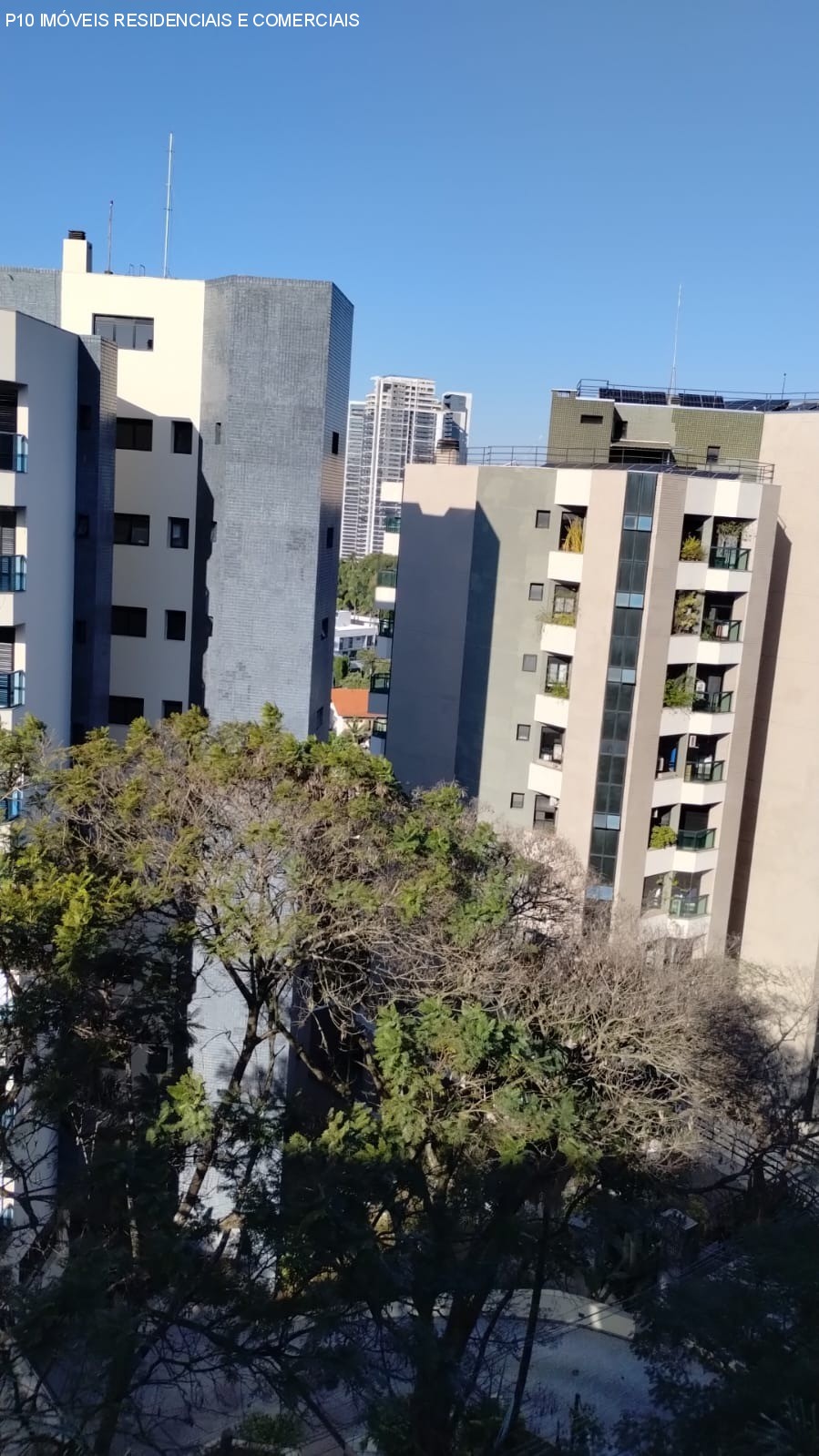 Apartamento, 4 quartos, 215 m² - Foto 23