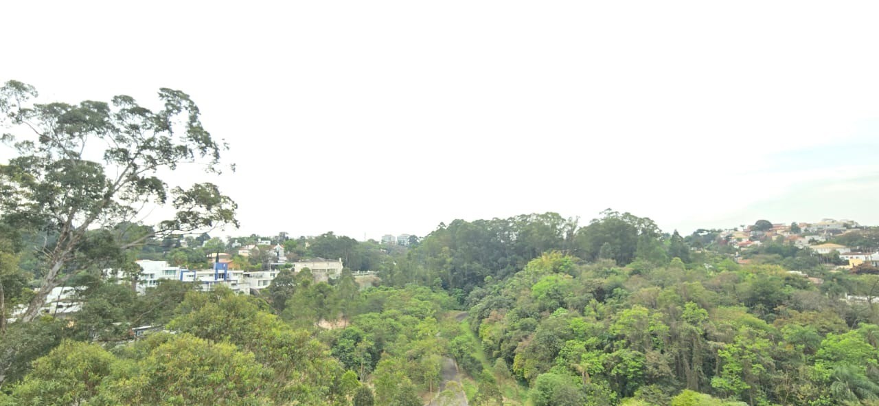 Cobertura, 5 quartos, 420 m² - Foto 20