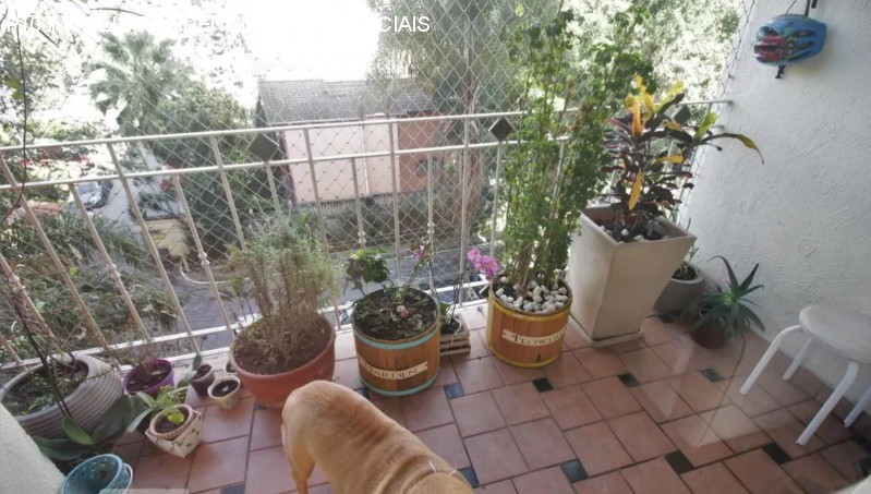 Apartamento, 4 quartos, 94 m² - Foto 1
