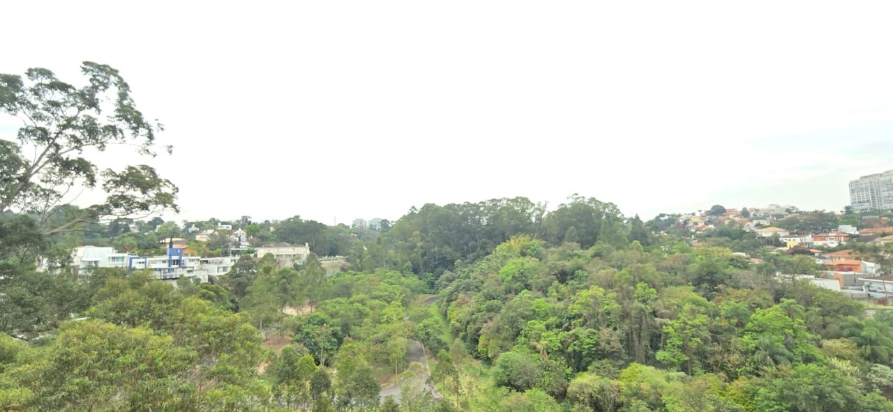 Cobertura, 5 quartos, 420 m² - Foto 19