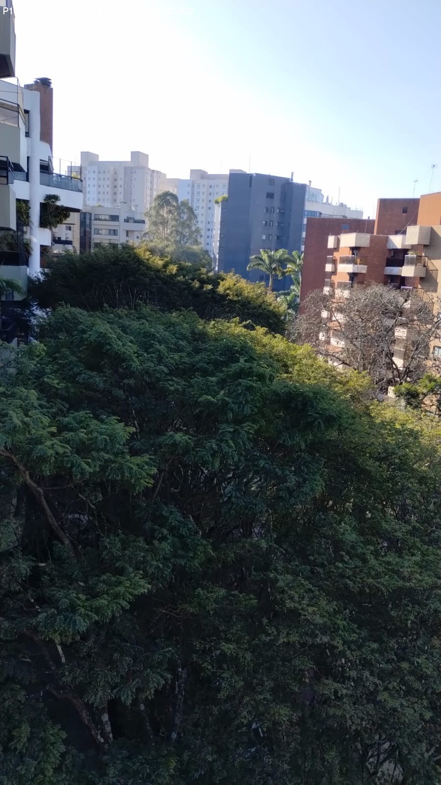 Apartamento, 4 quartos, 215 m² - Foto 24