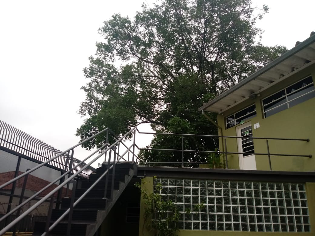 Casa, 6 quartos - Foto 12