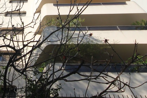 Apartamento, 4 quartos, 453 m² - Foto 10