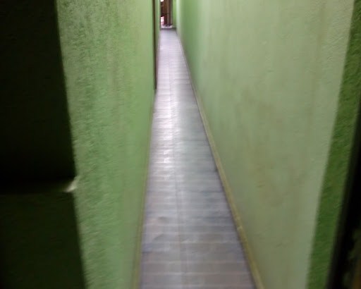 Casa, 4 quartos, 397 m² - Foto 6