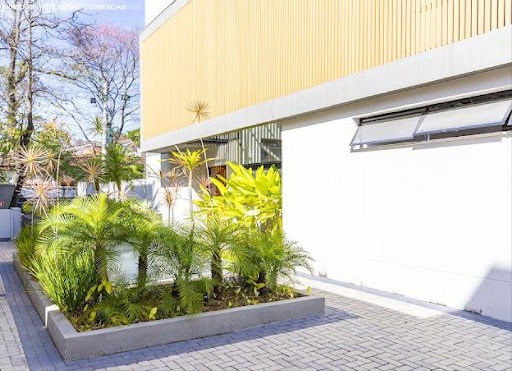 Casa, 4 quartos, 1034 m² - Foto 8