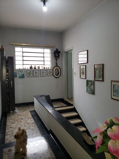 Casa, 3 quartos, 500 m² - Foto 21