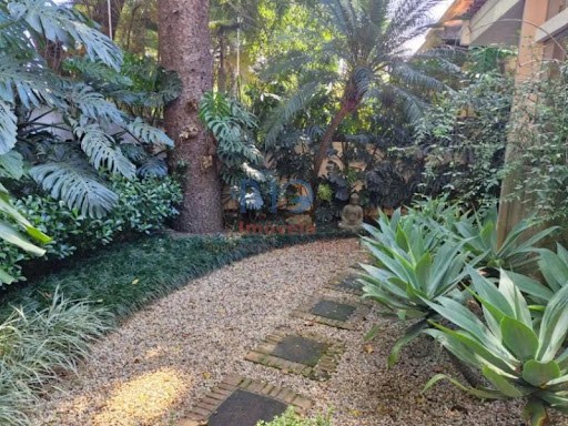 Casa, 4 quartos, 532 m² - Foto 13