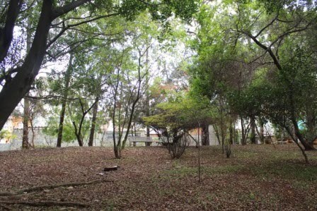 Depósito-Galpão, 3320 m² - Foto 22