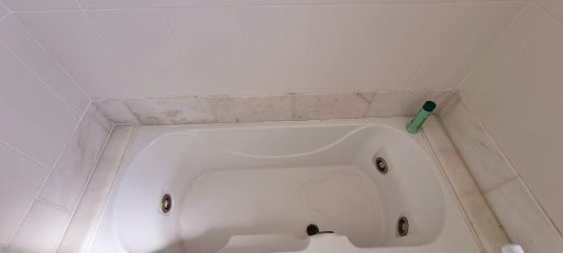 Casa, 4 quartos, 300 m² - Foto 24