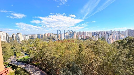 Apartamento, 4 quartos, 244 m² - Foto 35
