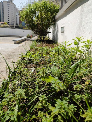Apartamento, 3 quartos, 133 m² - Foto 29