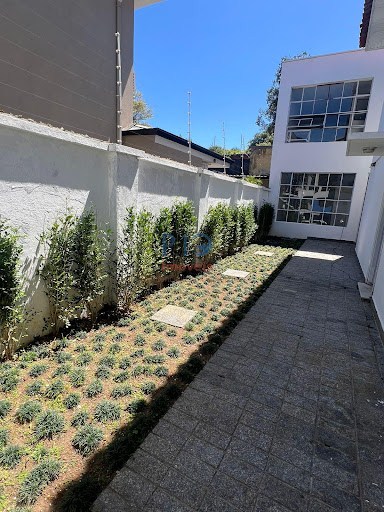 Prédio Inteiro, 600 m² - Foto 5