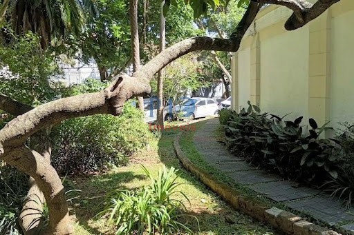 Casa, 4 quartos, 800 m² - Foto 7