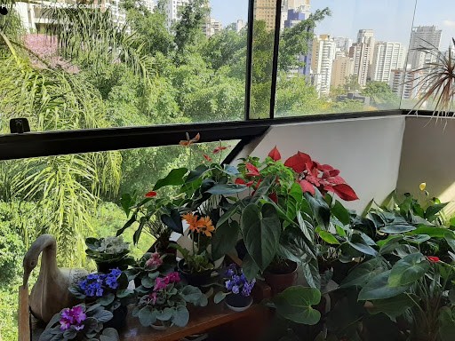 Apartamento, 3 quartos, 200 m² - Foto 6