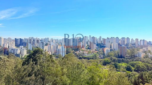 Apartamento, 4 quartos, 244 m² - Foto 33