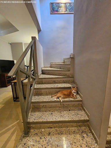 Casa, 3 quartos - Foto 20