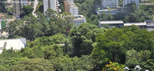 Apartamento, 4 quartos, 288 m² - Foto 23