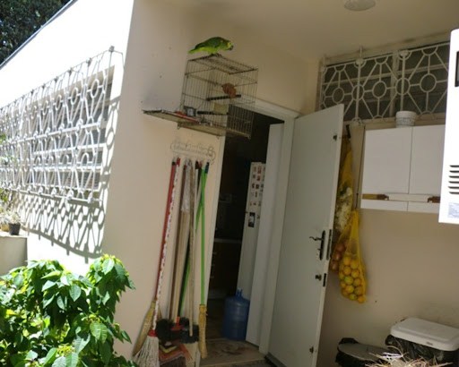 Casa, 4 quartos, 420 m² - Foto 15