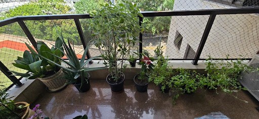 Apartamento, 3 quartos, 250 m² - Foto 5