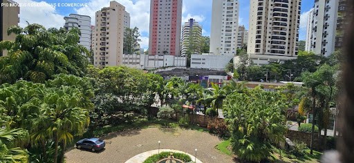 Apartamento, 3 quartos, 250 m² - Foto 6