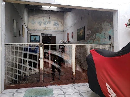 Casa, 3 quartos, 500 m² - Foto 19