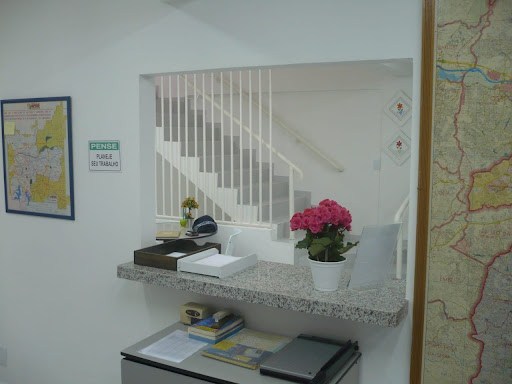 Casa, 3 quartos, 600 m² - Foto 7