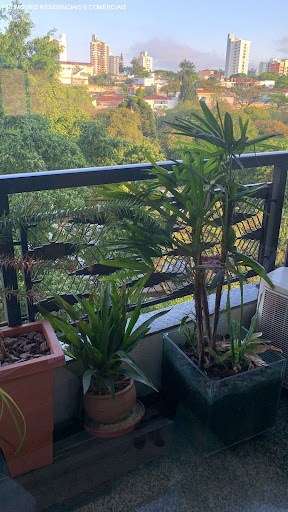 Apartamento, 4 quartos, 240 m² - Foto 7