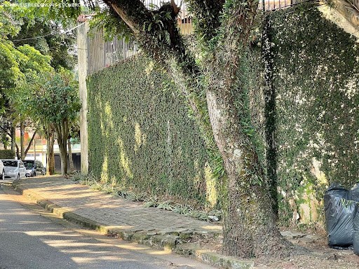 Casa, 4 quartos - Foto 8
