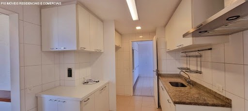 Apartamento, 3 quartos, 500 m² - Foto 29