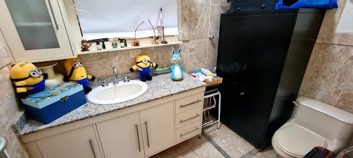 Casa, 4 quartos, 355 m² - Foto 33