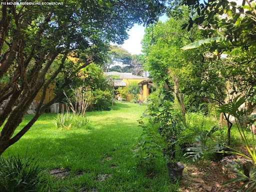 Casa, 4 quartos, 980 m² - Foto 28