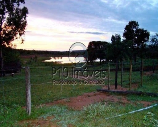 Fazenda, 4000 m² - Foto 7