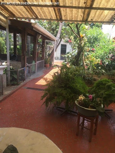 Casa, 3 quartos - Foto 23