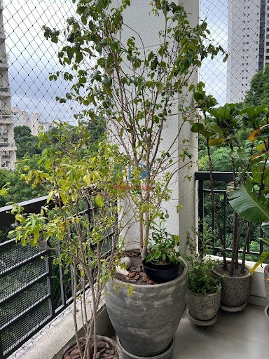 Apartamento, 2 quartos, 104 m² - Foto 13
