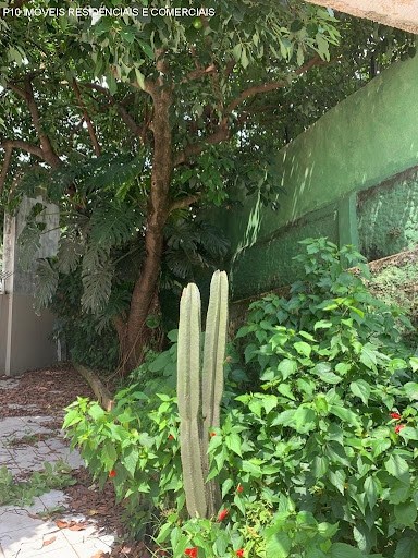 Casa, 2 quartos - Foto 17