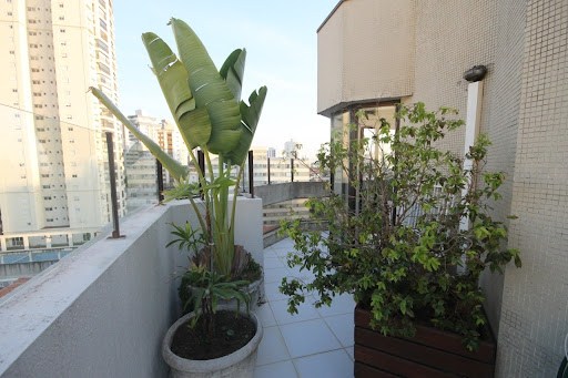 Apartamento, 3 quartos, 240 m² - Foto 8