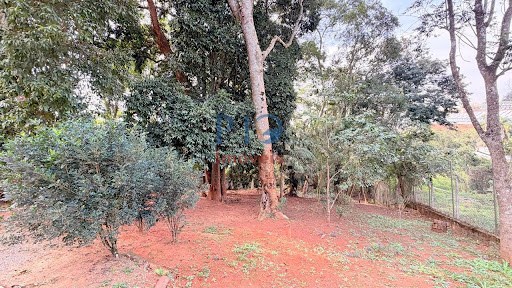 Casa, 3 quartos, 1430 m² - Foto 10