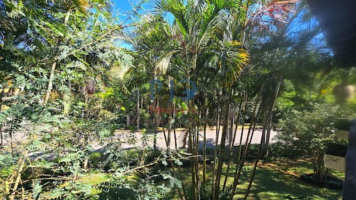 Casa, 3 quartos, 500 m² - Foto 11
