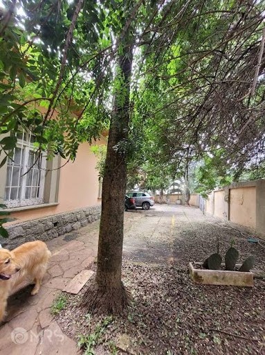 Casa, 4 quartos, 450 m² - Foto 13