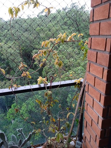 Apartamento, 4 quartos, 170 m² - Foto 24