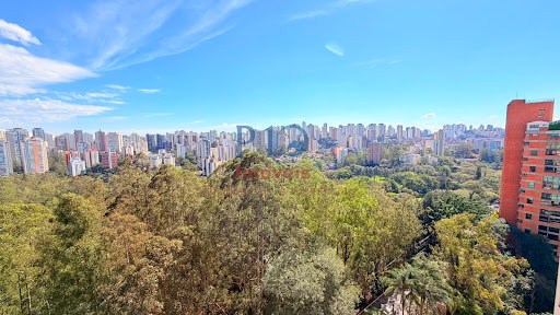 Apartamento, 4 quartos, 244 m² - Foto 43